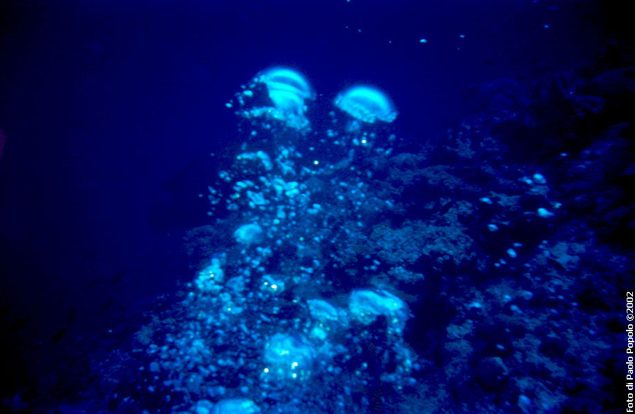 Maldive2002_101.jpg