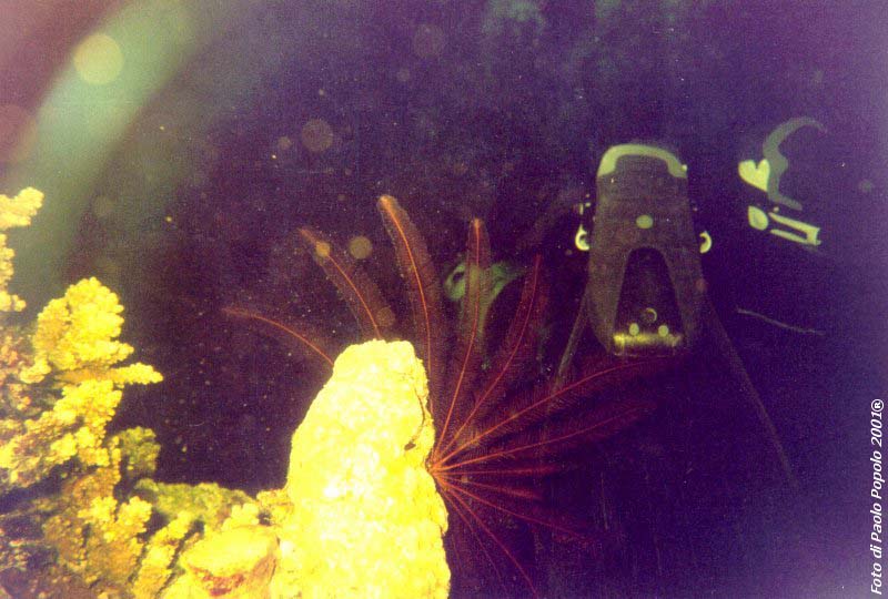 ras um sid_RK_06.jpg