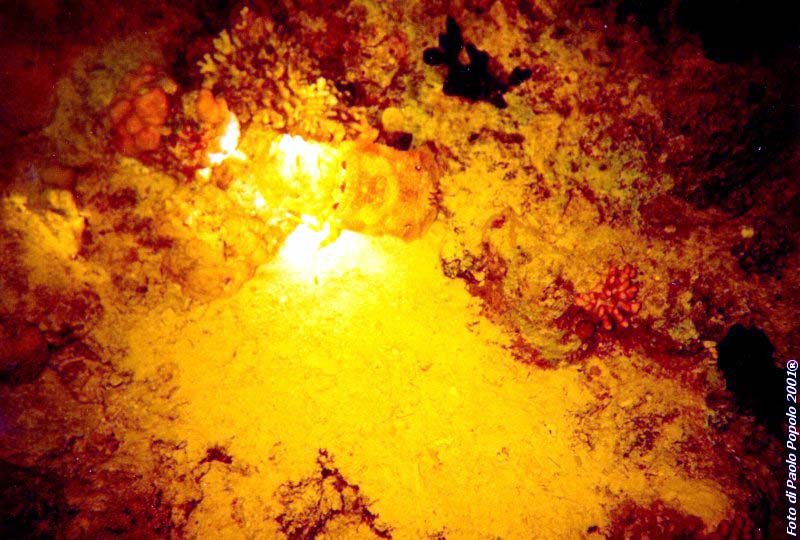 ras um sid_RK_10.jpg