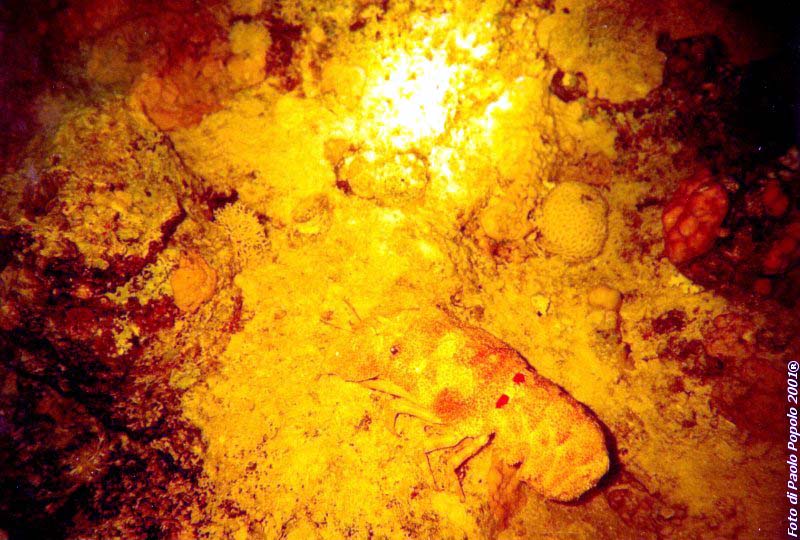 ras um sid_RK_11.jpg