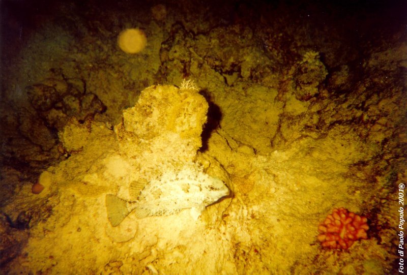 ras um sid_RK_17.jpg