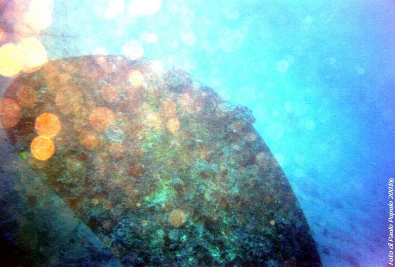 sha ab ali_TH_16.jpg