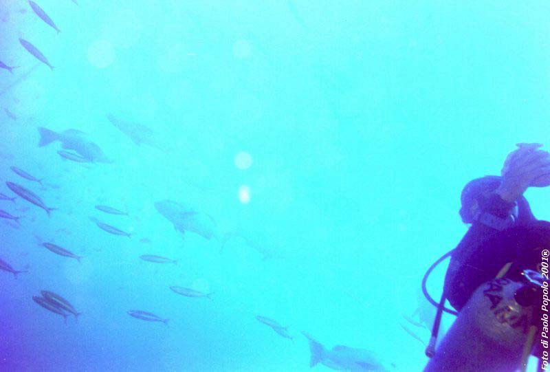 sha ab ali_TH_18.jpg