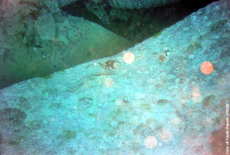 sha ab ali_TH_23.jpg