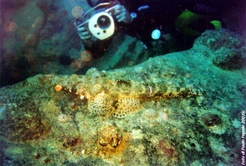 sha ab ali_TH_24.jpg